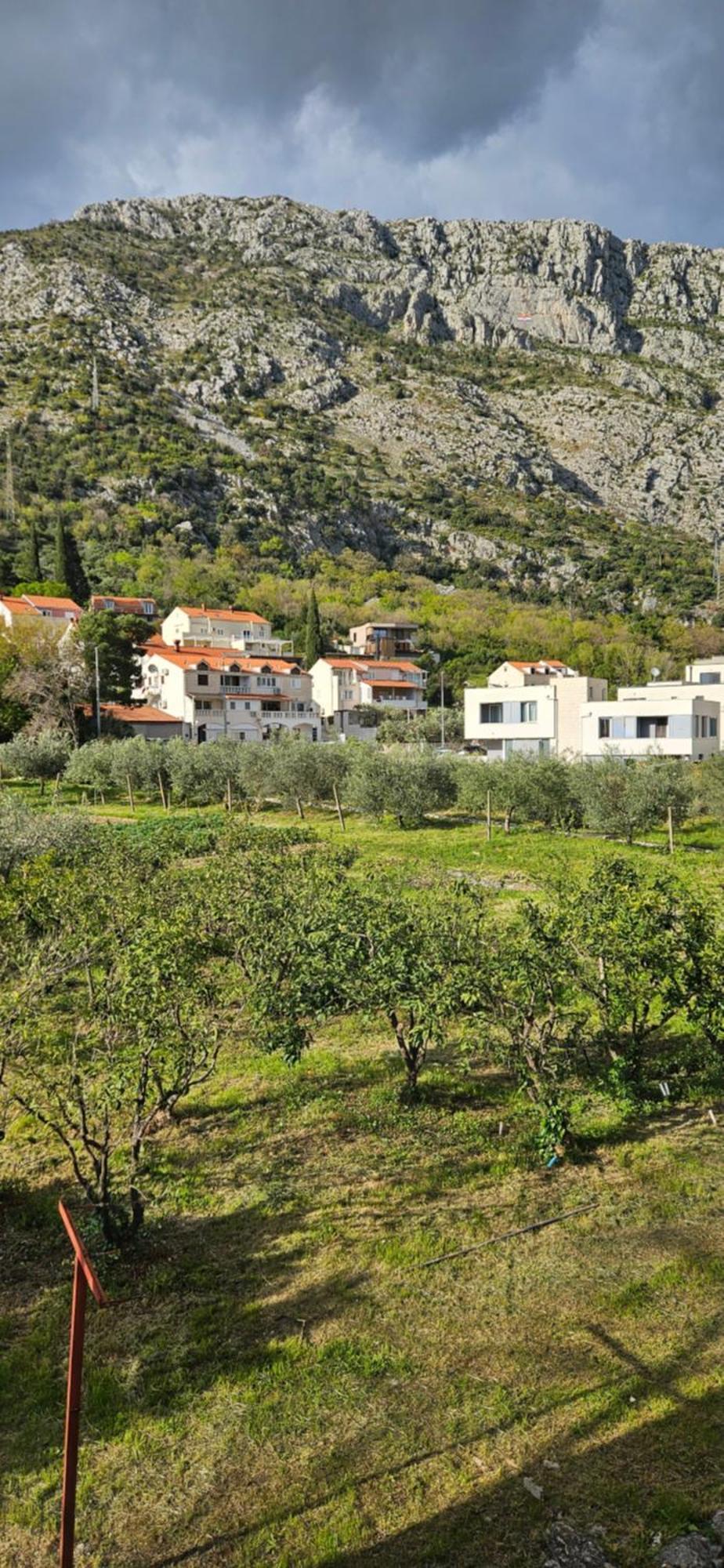Villa Konalic Мокошица Экстерьер фото